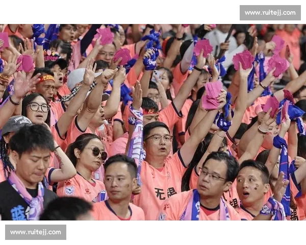 苏超威武！220 万人抢票中签率 1%，决赛比欧冠还难蹲